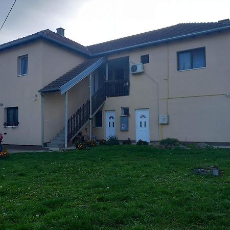 Rm Castell Apartments Novi Sad Ngoại thất bức ảnh